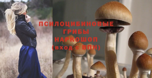 ешки Алексин