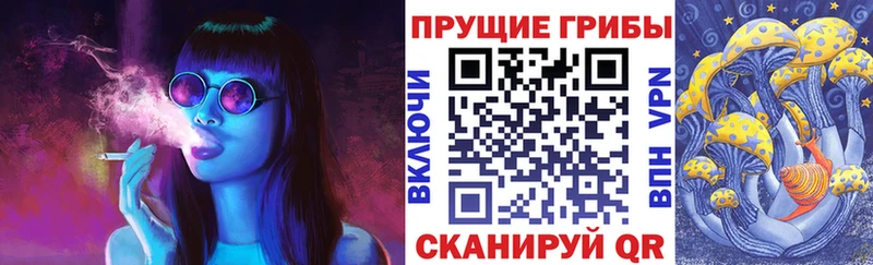 Галлюциногенные грибы мицелий  Всеволожск 