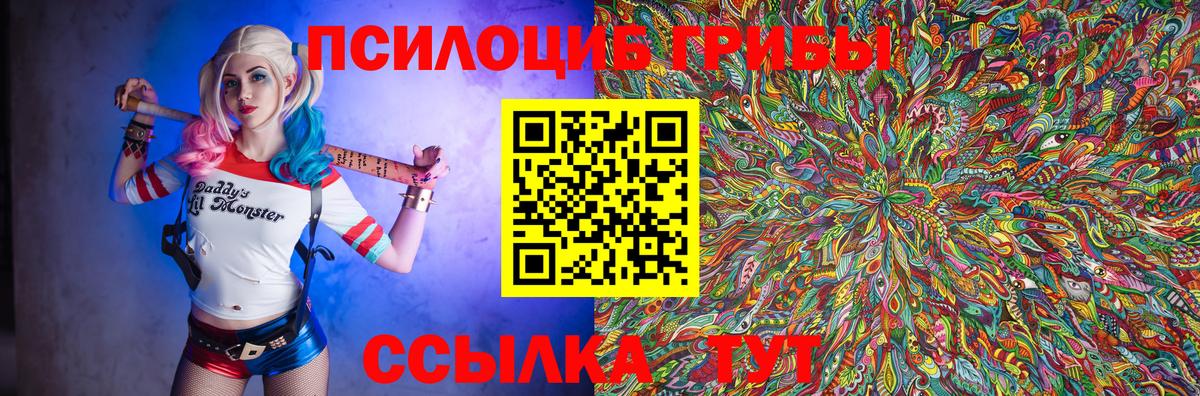 Псилоцибиновые грибы GOLDEN TEACHER Всеволожск