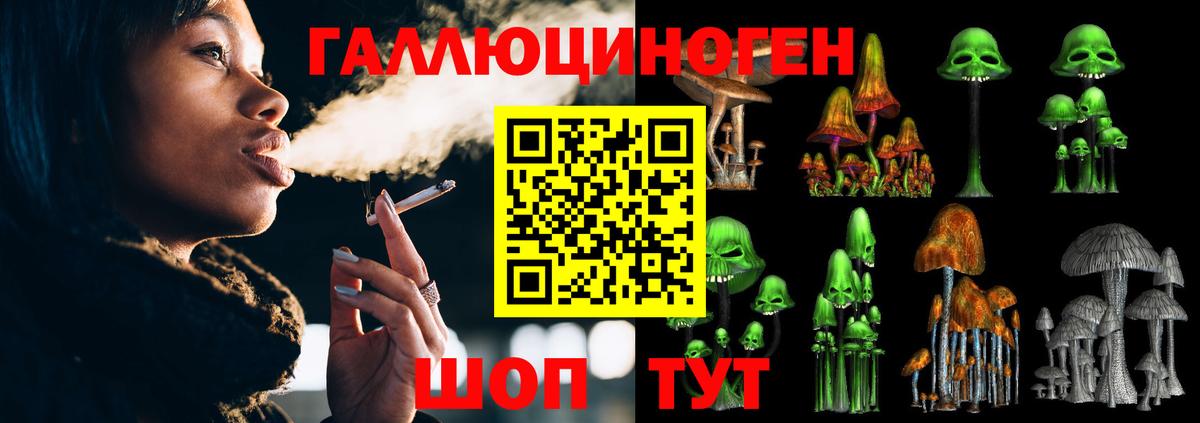 Всеволожск  Псилоцибиновые грибы мицелий  Вход с VPN  Псилоцибиновые грибы Cubensis 