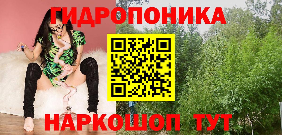 Канабис план Всеволожск